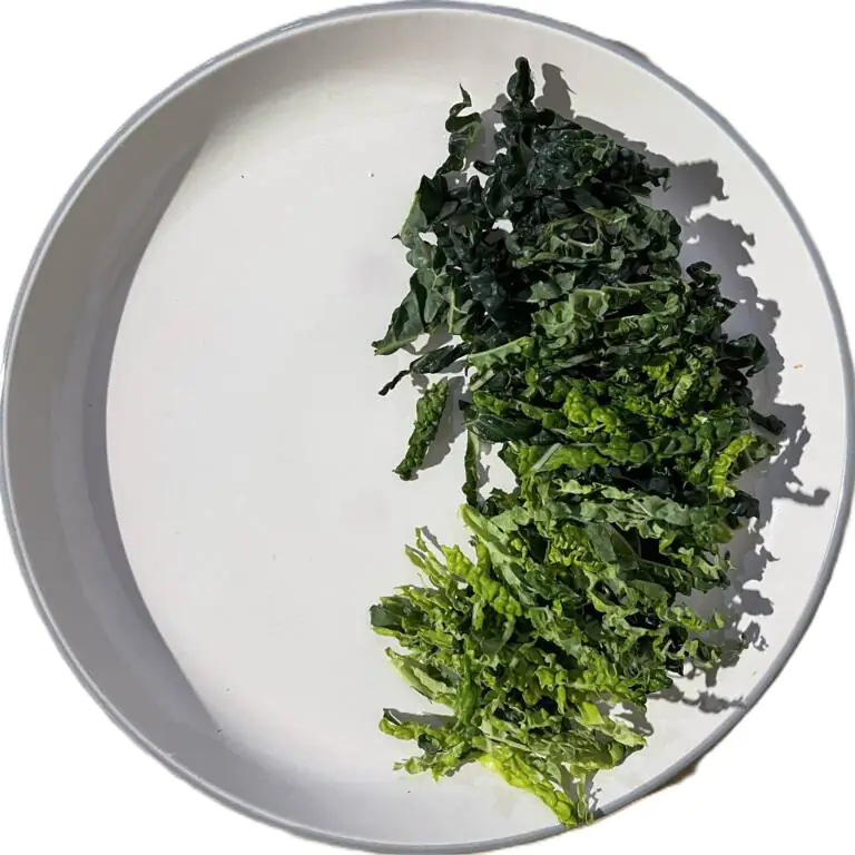 savoy cabbage.webp